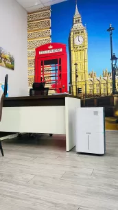 Humid Days & Mold Growth? An A-Z Guide to Choosing a Home Dehumidifier by Room Size Humid Days & Mold Growth? An A-Z Guide to Choosing a Home Dehumidifier by Room Size